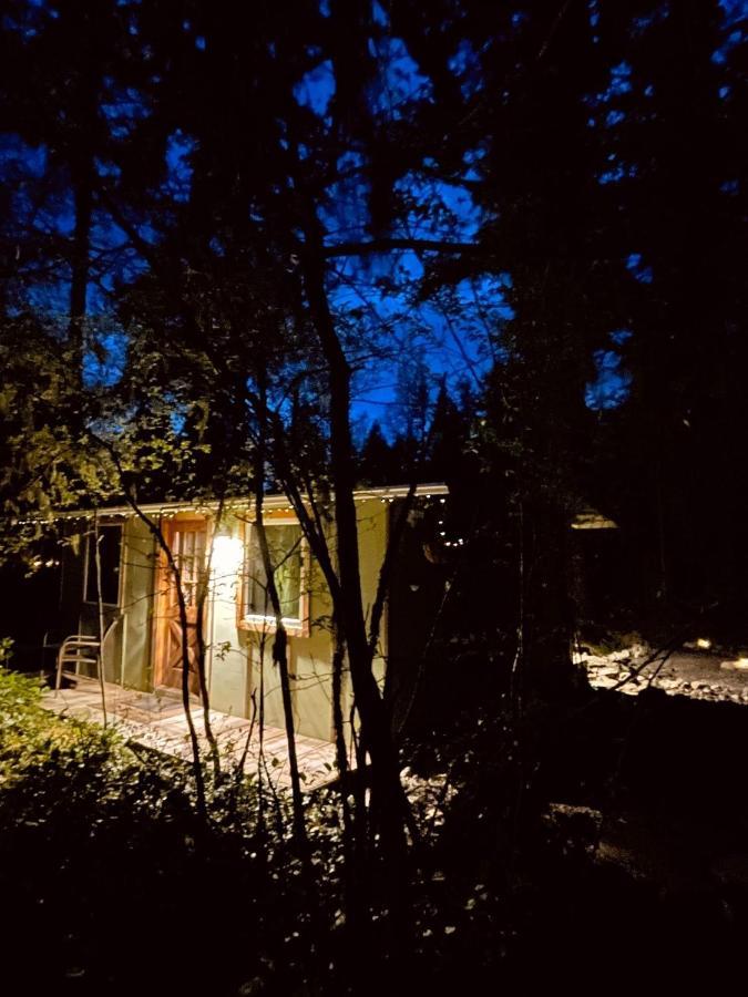Mt Rainier Little Green Cabin On Big Creek! Ashford Exterior photo